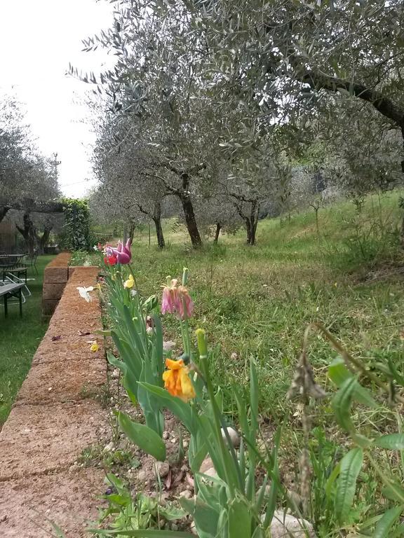 Agriturismo Camparella Pastrengo Exterior photo
