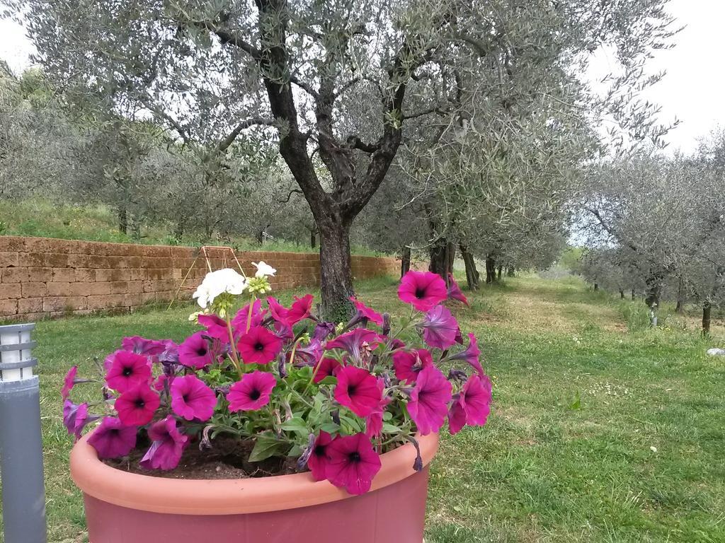 Agriturismo Camparella Pastrengo Exterior photo