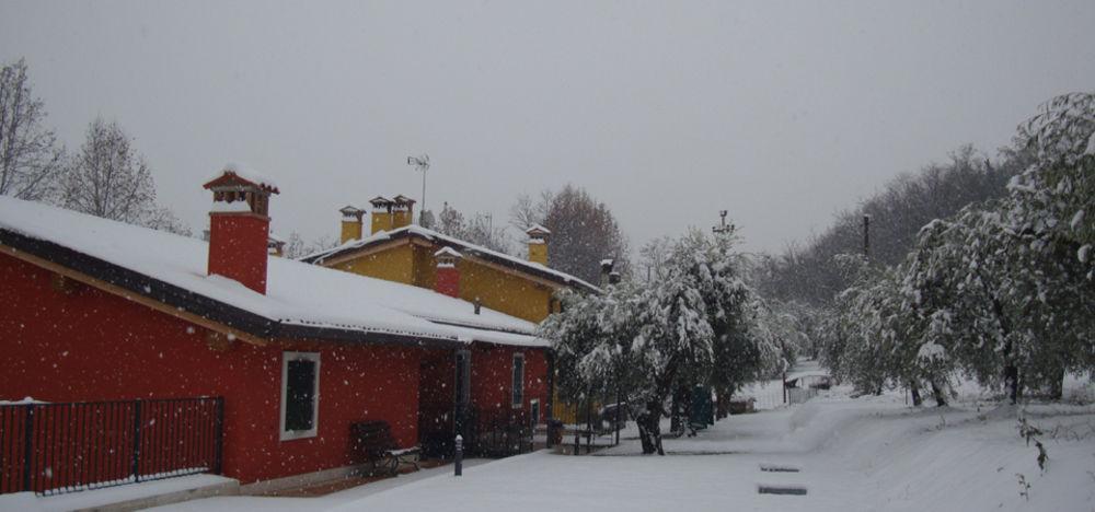 Agriturismo Camparella Pastrengo Exterior photo